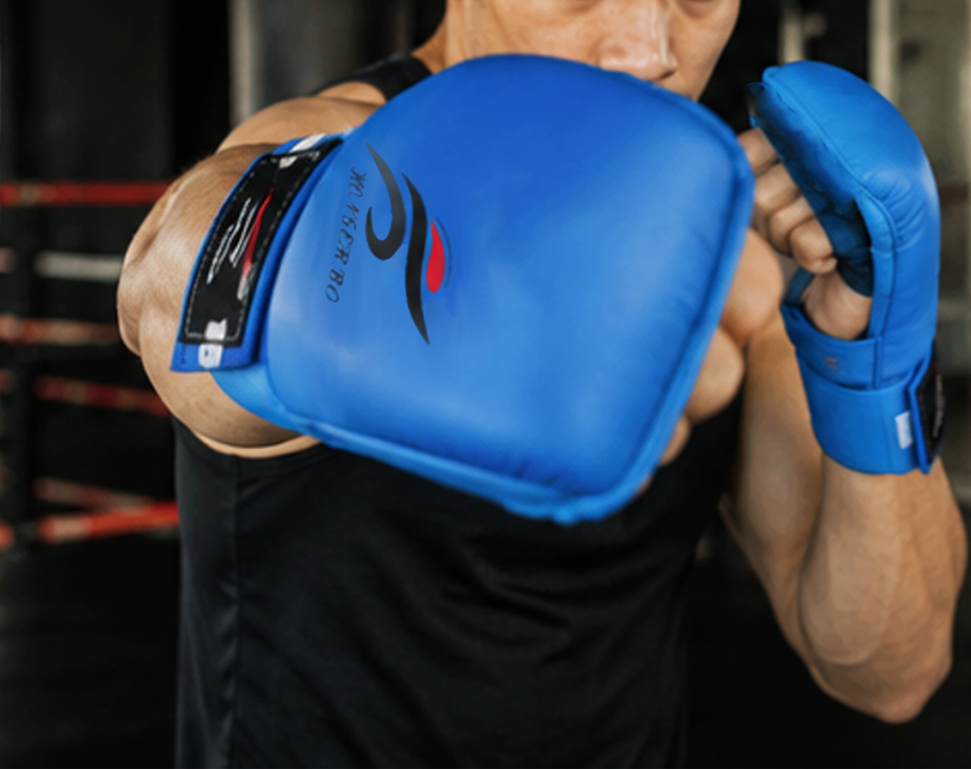 Luvas de Caratê Azuis – Proteção de Punho para Sparring (AYD321-3)