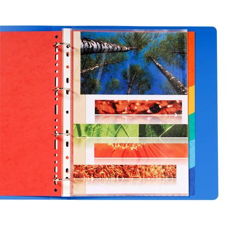 Exacompta A4 Maxi Cardboard Dividers 6-Piece Assorted Colors
