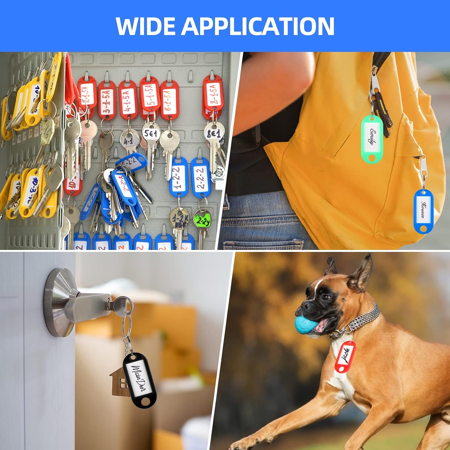 VTECHOLOGY 50-Piece Plastic Key Tags with Label Window and Split Ring