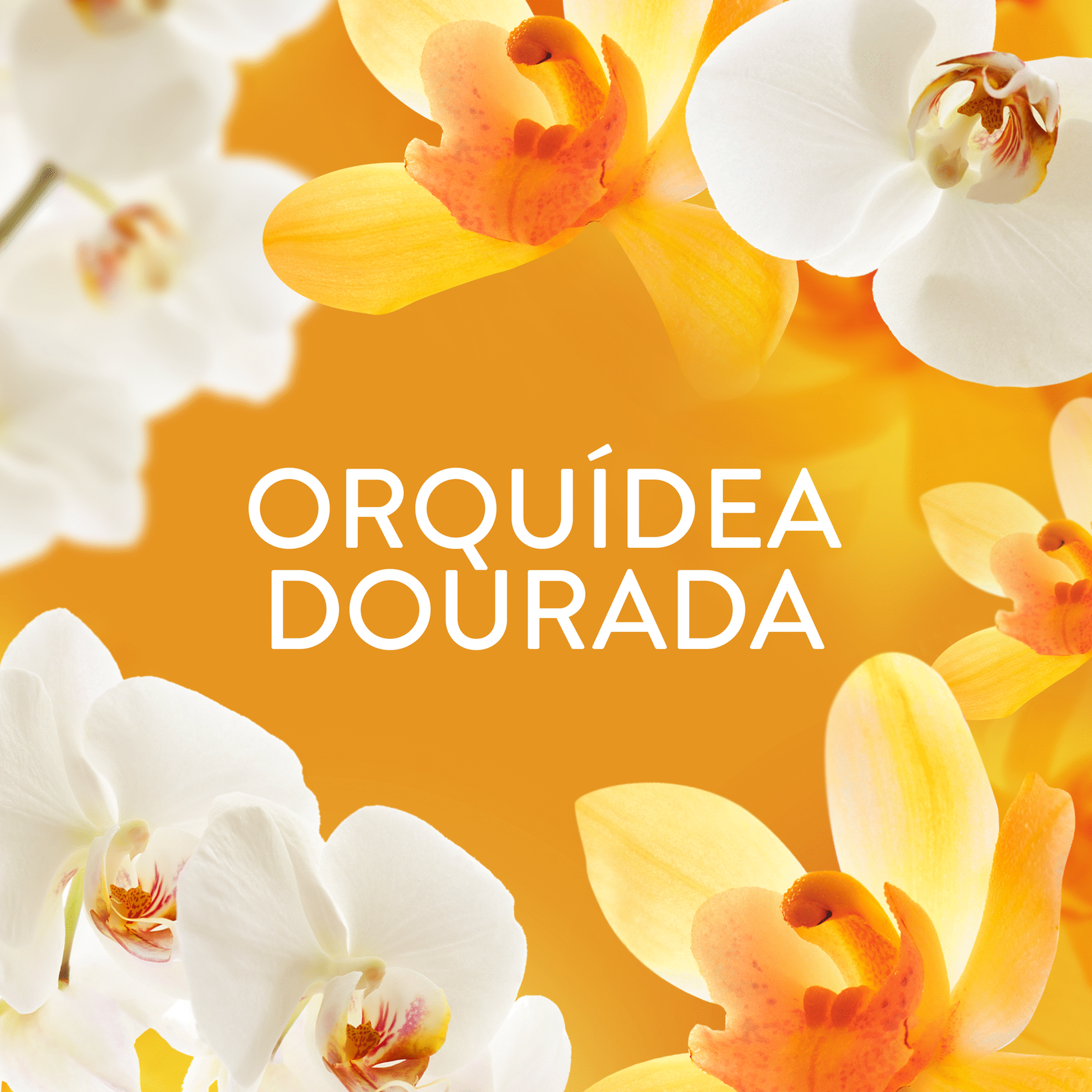 Lenor Orquídea Dourada Laundry Scent Booster Beads 195g