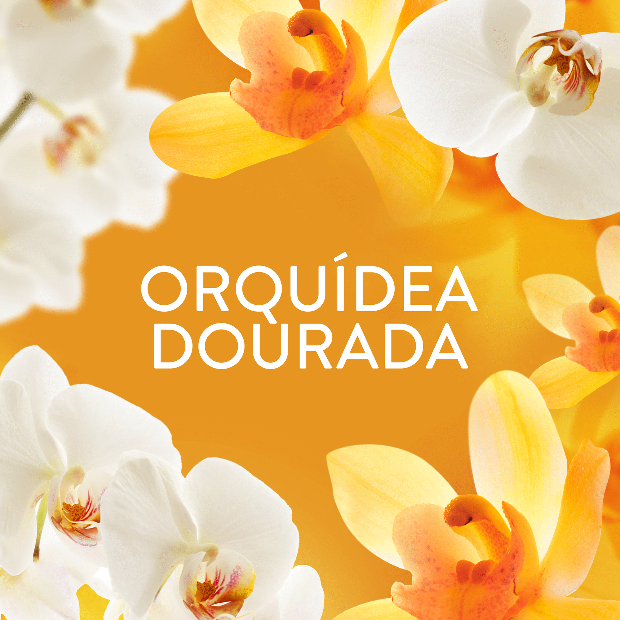 Lenor Orquídea Dourada Laundry Scent Booster Beads 195g