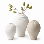 Conjunto de Vasos de Cerâmica Texturizados Modernos - AYD312-19