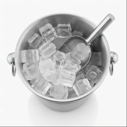 Balde de Gelo 3L com Pegas de Argola: O Clássico Indispensável para o Seu Bar - (BAL0003)