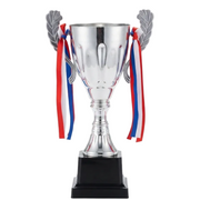 Troféu Três Cores da Conquista: Homenagem ao Mérito e à Paixão Esportiva - (AYD82-27GD)