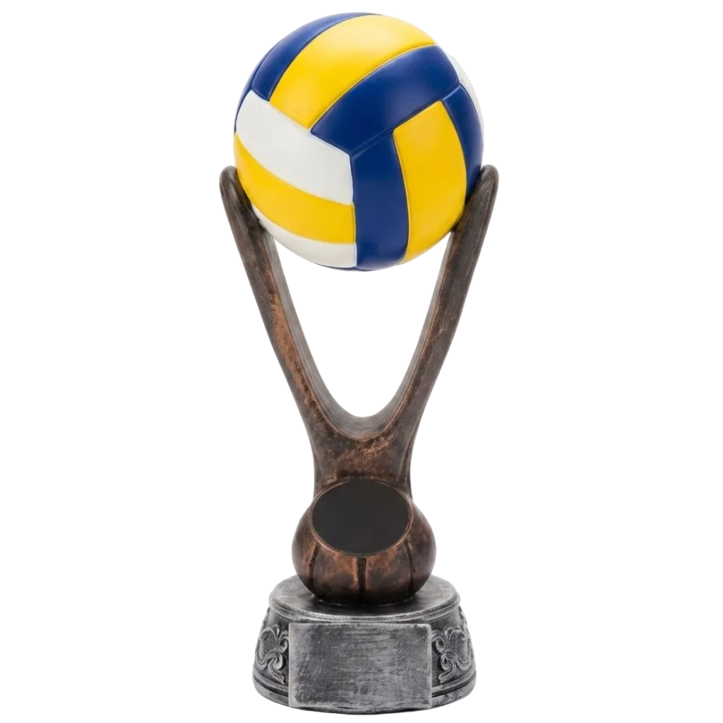 Troféu Saque de Ouro: A Glória nas Quadras - (AYD82-14)