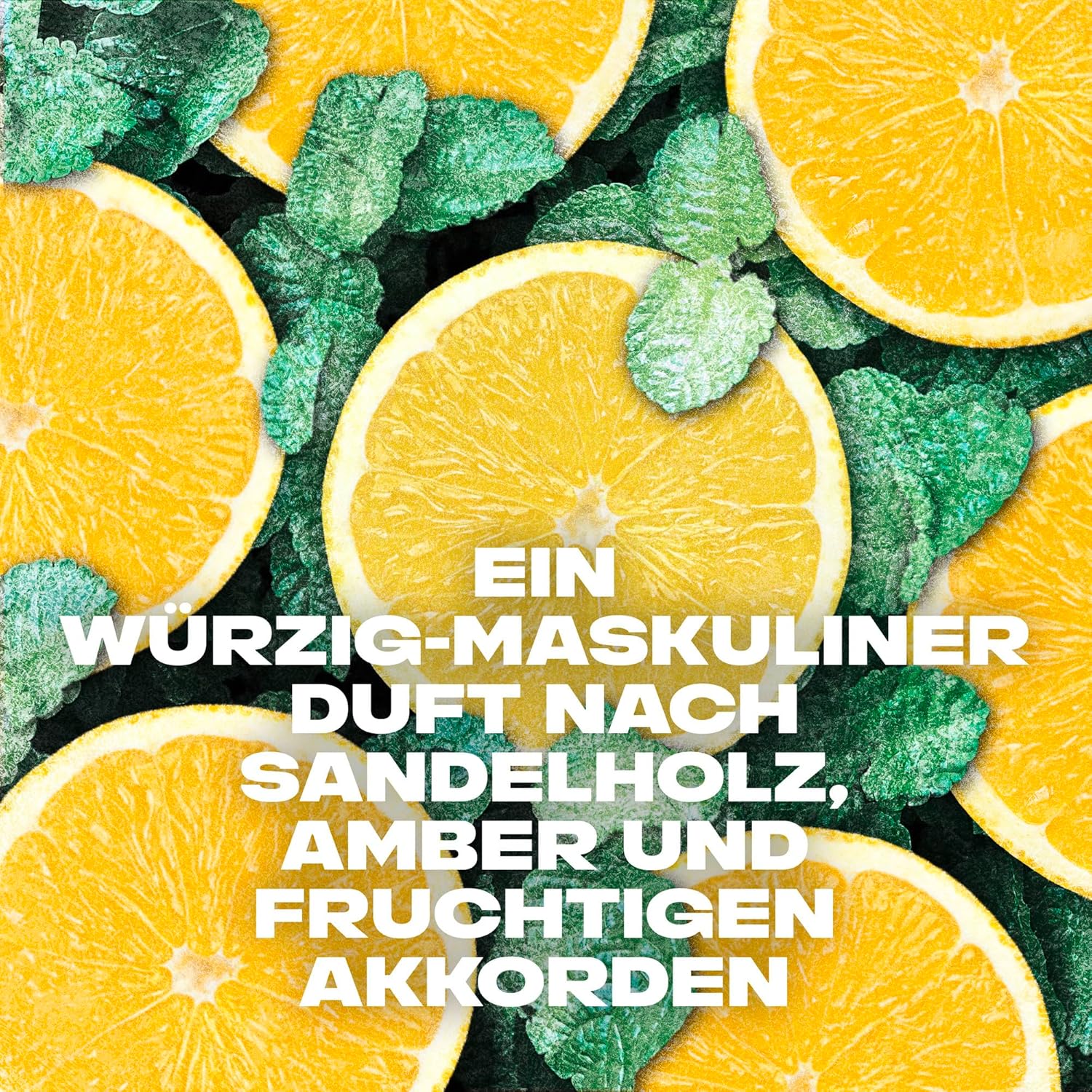 https://veloradrogisterij.nl/storage/media/Kk23ZHBEIdjg1c9SR1SmA40MwUXTMNrMfGkdGNDo.jpg