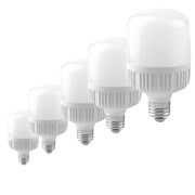 T-Shape LED Light Bulb 20W-100W Various Color Temperatures